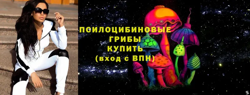 магазин продажи наркотиков  ссылка на мегу как войти  Галлюциногенные грибы мухоморы  Звенигово 